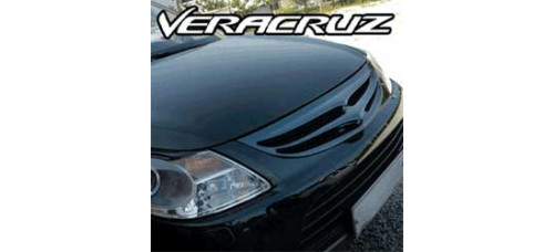 artx eagles carbon radiator grille hyundai ix55 2007-13
